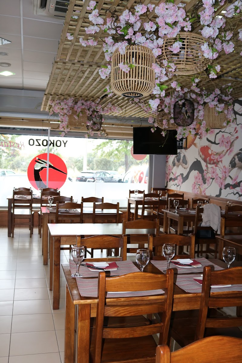Restaurante Japones - Yokozo Sushi Lounge - Castelo Branco